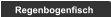 Regenbogenfisch